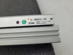 SMC Dual Rod Linear Guide Bearing Actuator Slide Cylinder 13-MXS16-125 Cleanroom