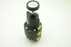 FAIRCHILD 14212, Positive and Negative Bias Relay, 1/4"NPT