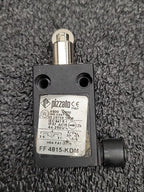 Lot 4 Limit Switches Schmersal TV10H Telemecanique XCKP Pizzato FF 4815 KDM
