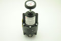 FAIRCHILD 14212, Positive and Negative Bias Relay, 1/4"NPT