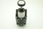FAIRCHILD 14212, Positive and Negative Bias Relay, 1/4"NPT