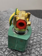 ASCO Red Hat II Solenoid Valve 8262H208 24VDC Brass NC Shutoff 1/4" NPT 6WTW2