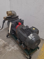 Dayton 2" Self Priming 3P704A Booster Sprinkler Pump WEG 5HP Electric Motor A