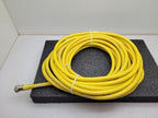 Mencom MIN-6MFP-50 MIN Size I male/female straight extension cordset 259901 50'
