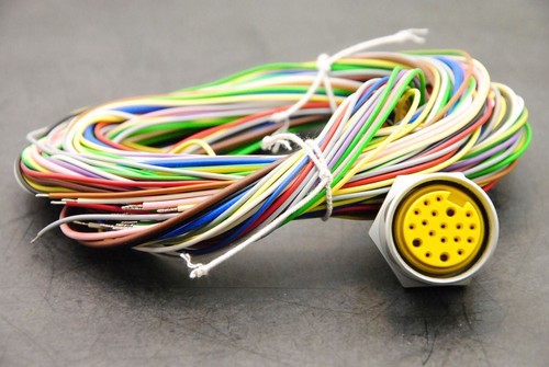 Brad / Molex 1300150102 (3R3N30E80M020) 19-Pole F Recept, 2M L - NEW