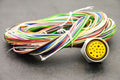 Brad / Molex 1300150102 (3R3N30E80M020) 19-Pole F Recept, 2M L - NEW