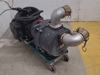 Dayton 2" Self Priming 3P704A Booster Sprinkler Pump WEG 5HP Electric Motor B