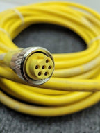 Mencom MIN-6MFP-50 MIN Size I male/female straight extension cordset 259901 50'