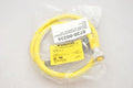 Turck RKV RSFPV 56-1M Mini Fast 5 Pin Cable Male/Femal NEW