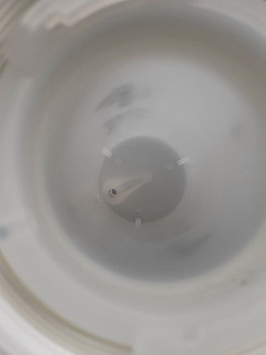 Entegris Chemlock PP Filter Housing YY66B1280 Polypropylene 11" BOWL 1/2"FLARE
