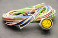 Brad / Molex 1300150102 (3R3N30E80M020) 19-Pole F Recept, 2M L - NEW