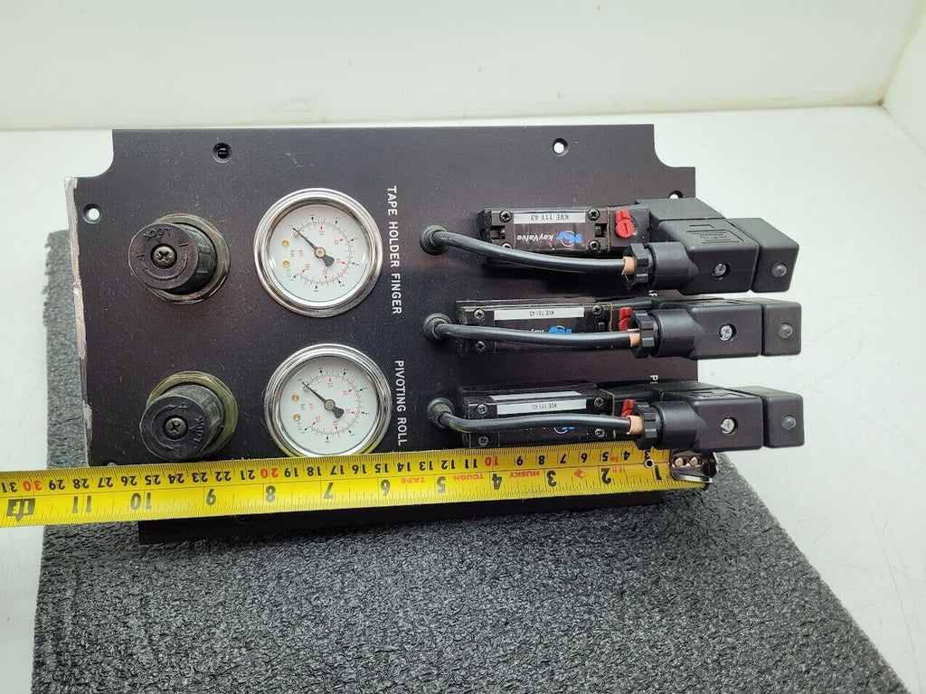 Kay Valve KVE 111 45 43 Pneumatic Valve Block w/ Regulators Gauges 24VDC Control
