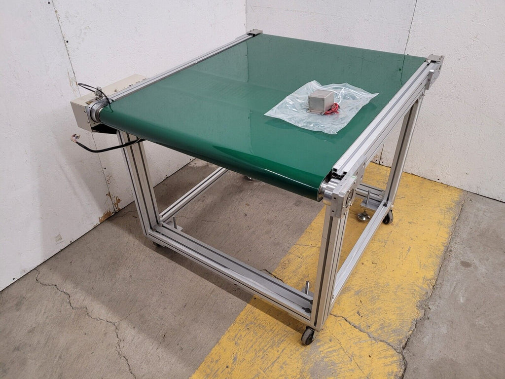 Custom Flat Belt Oriental Motor Driven Conveyor 32" wide 42" Long Extruded Frame