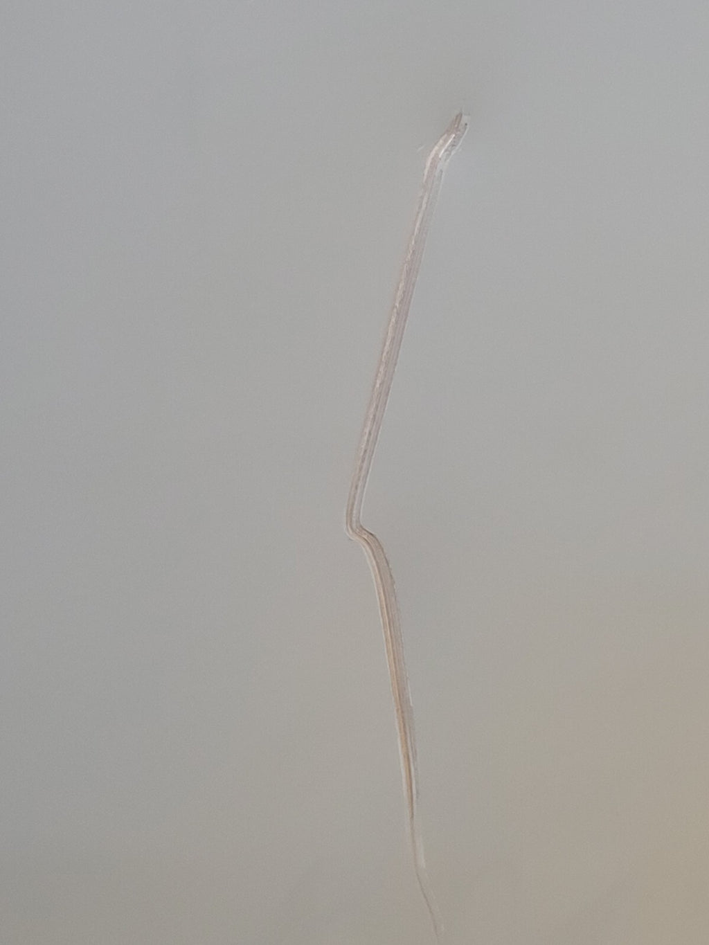 Federal Pacific 480V P 208Y/120 S 3PH Step Down T48LH2Y-45 Transformer 45KVA