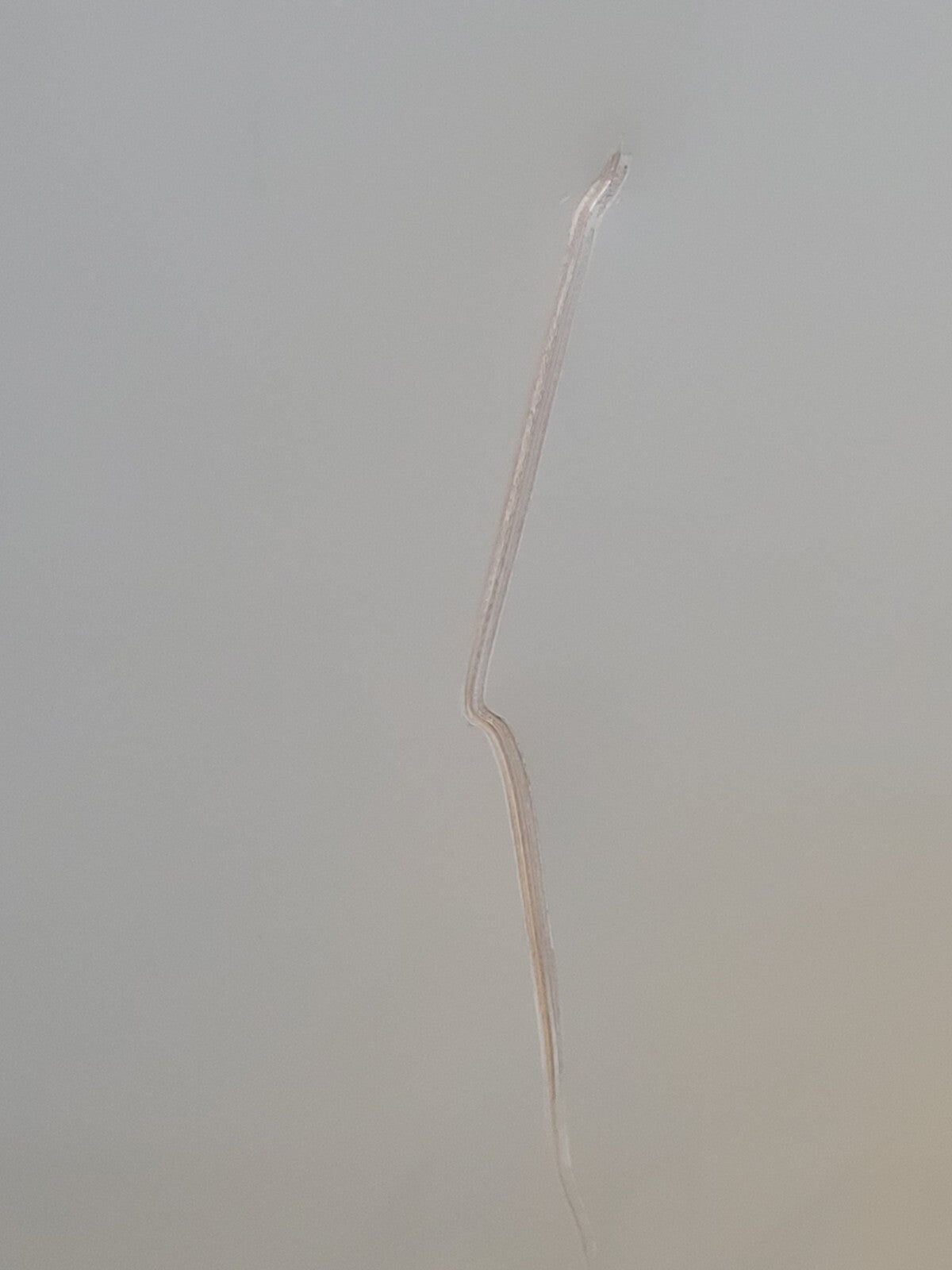 Federal Pacific 480V P 208Y/120 S 3PH Step Down T48LH2Y-45 Transformer 45KVA