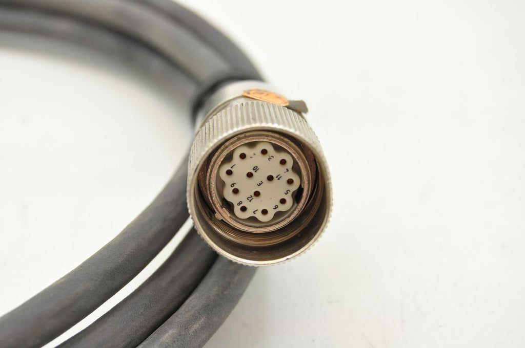 AWM 12-Pin Male To Female 4 Meter Cable