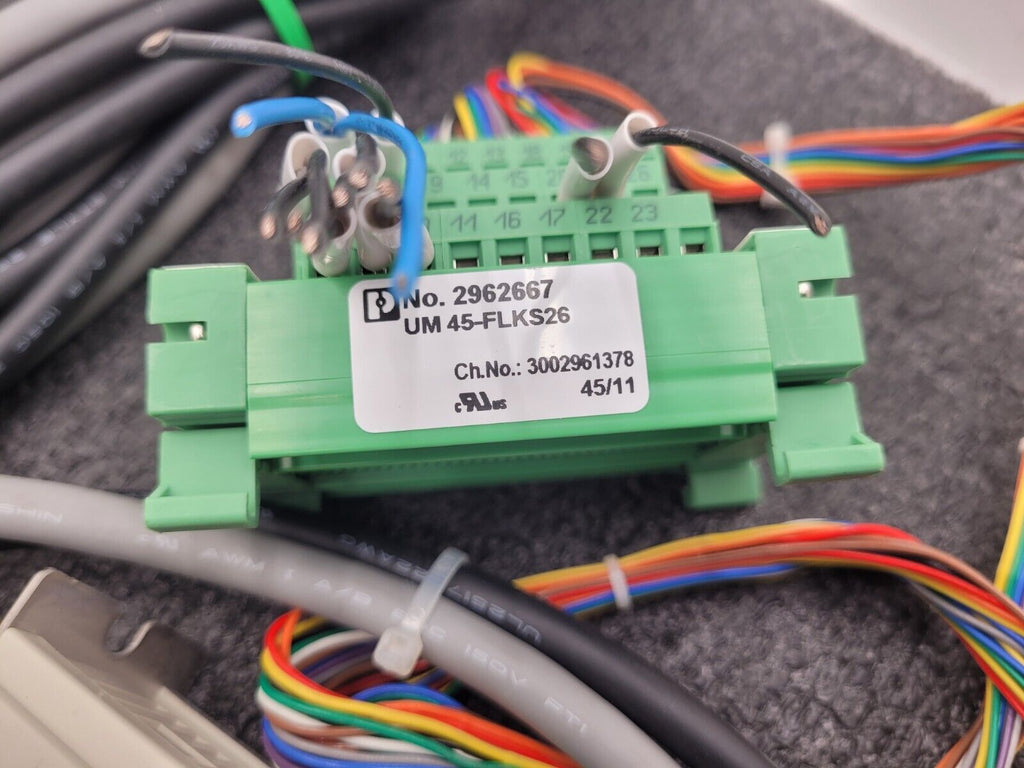 IAI Robo Cylinder RCP1-RSW-I-PM-10-100-P1-S-G1 Linear Actuator 100mm Stroke 24V