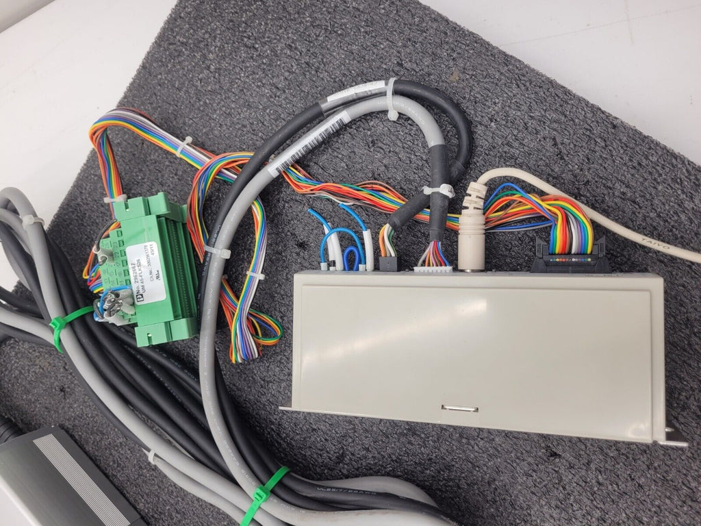 IAI Robo Cylinder RCP1-RSW-I-PM-10-100-P1-S-G1 Linear Actuator 100mm Stroke 24V