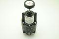FAIRCHILD 14212, Positive and Negative Bias Relay, 1/4"NPT