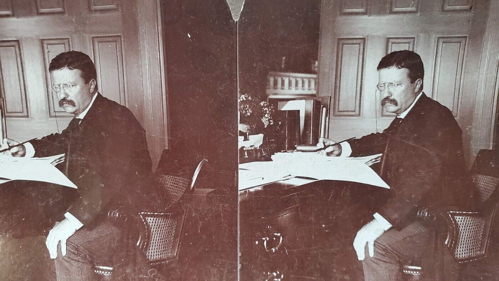 RARE Stereoview Theodore Roosevelt President Stereograph by William H Rau 1903