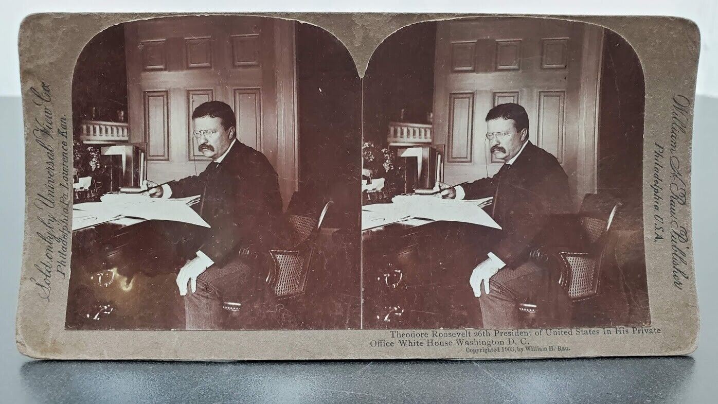 RARE Stereoview Theodore Roosevelt President Stereograph by William H Rau 1903