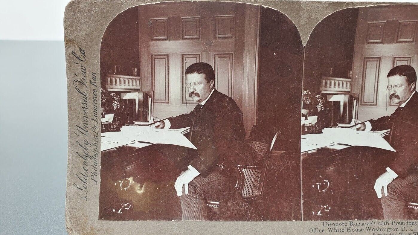 RARE Stereoview Theodore Roosevelt President Stereograph by William H Rau 1903