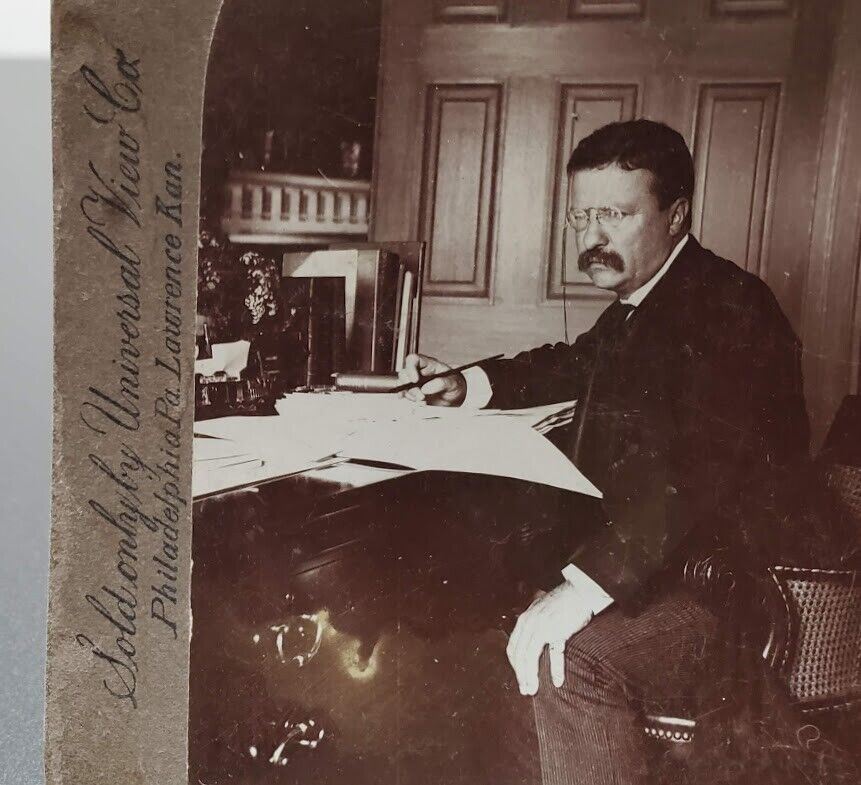 RARE Stereoview Theodore Roosevelt President Stereograph by William H Rau 1903