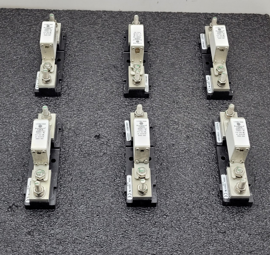 Lot of 6 Bussmann Buss 170M1368 125A 690V Fuse w/ 170H1007 Base 400A 1000V