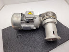 MT Motori 1.5kW Gearmotor 230-480VAC 3PH 10:1 Gearhead Ratio 2HP Right Angle