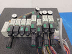 Numatics 8x Valve Solenoid 041SA400M0000F 5x Regulated Pneumatic Manifold N4