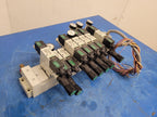 Numatics 9x Valve Solenoid 041SA400M0000F 7x Regulated Pneumatic Manifold N2